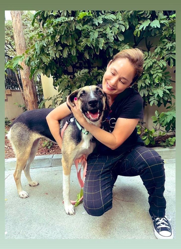 Enlarge Raya, a Adoptable mixed breed in los angeles, CA image 3/6