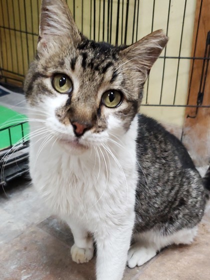Rios, Senior Male unknown