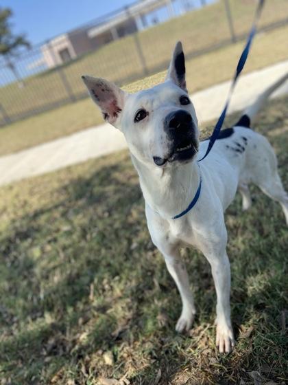 Lynn — thumbnail 3