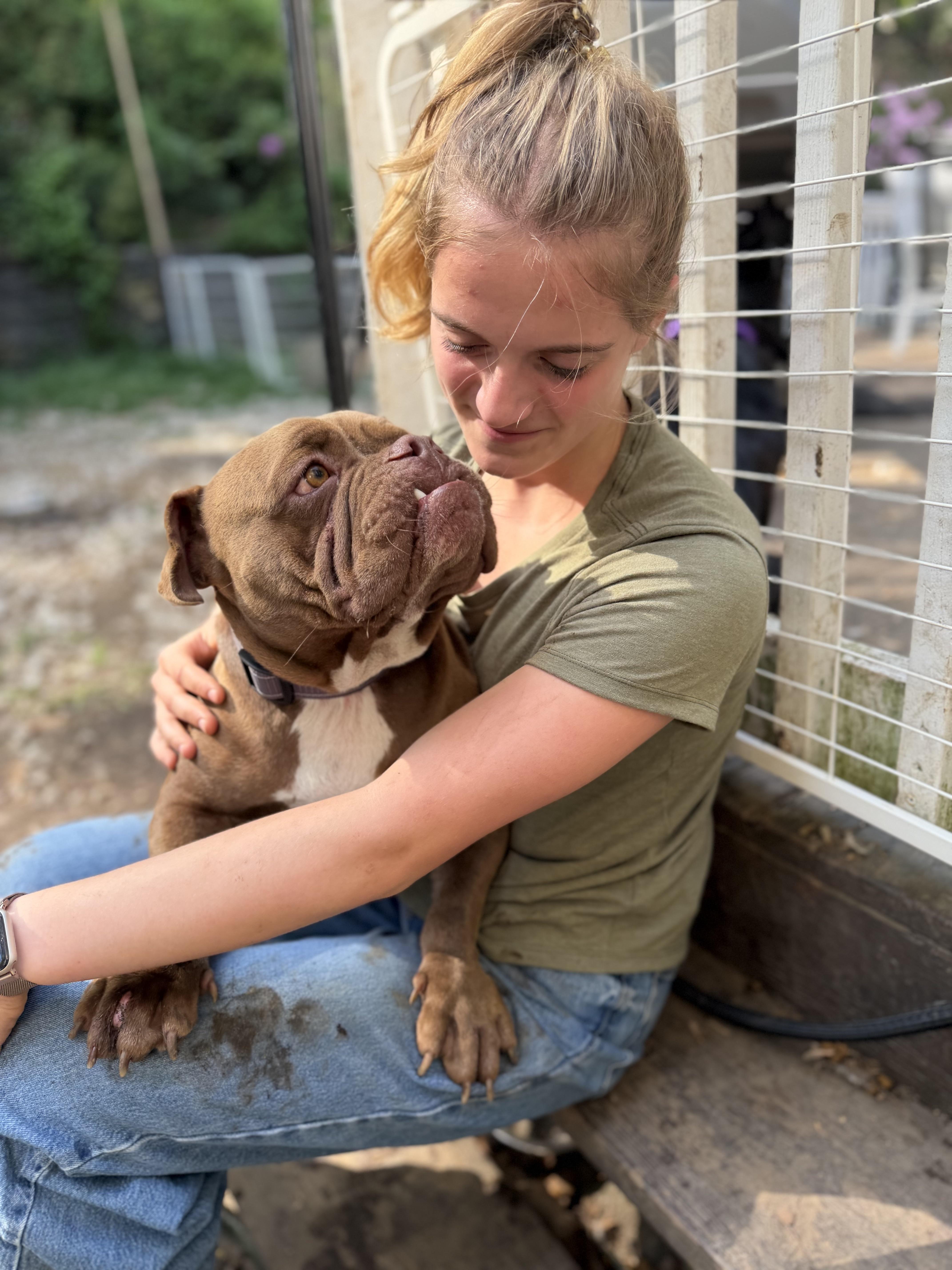 Enlarge Winston, a Adoptable mixed breed in Ridgefield, CT image 4/6