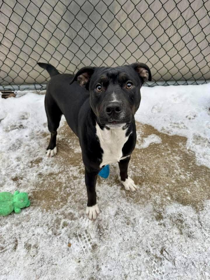 Emory — thumbnail 2