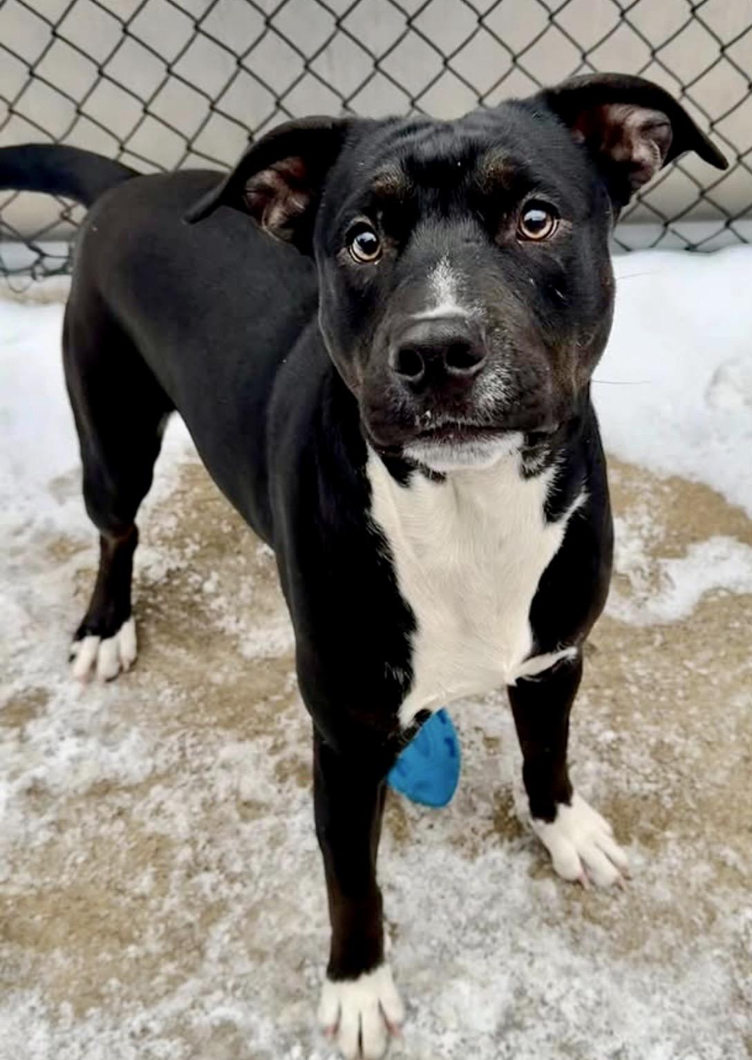 Emory — thumbnail 3