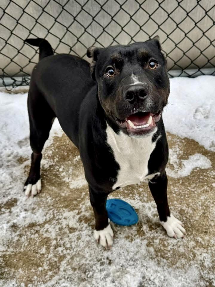 Emory — thumbnail 4