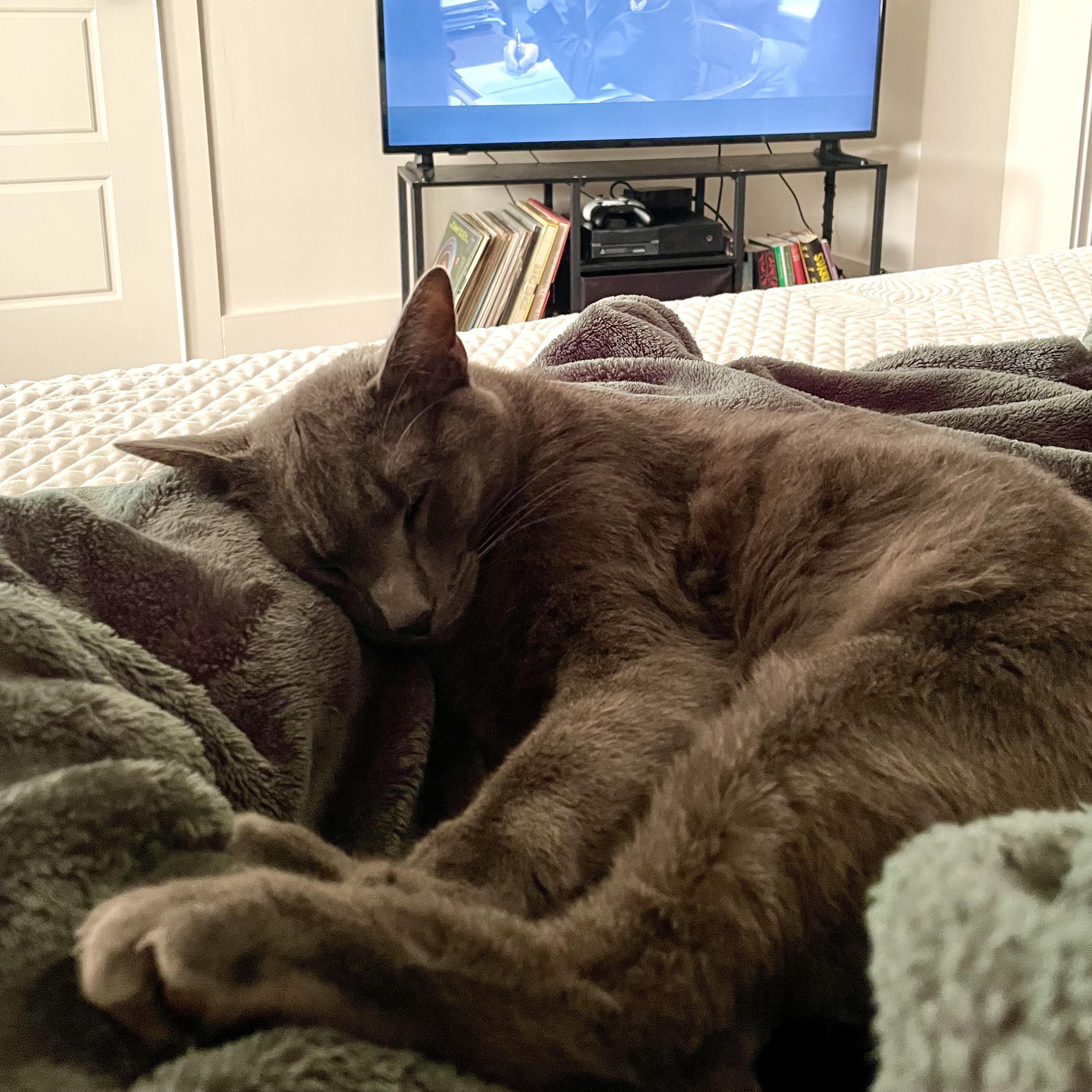 Balanchine — thumbnail 3