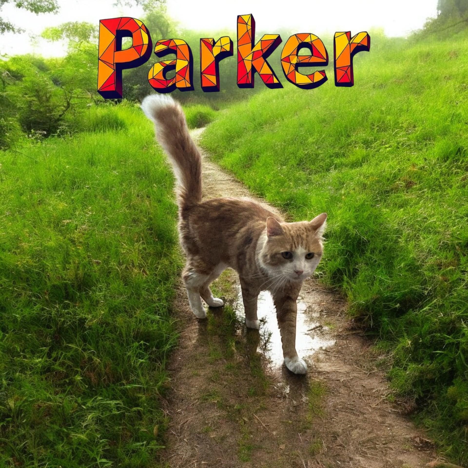 Parker