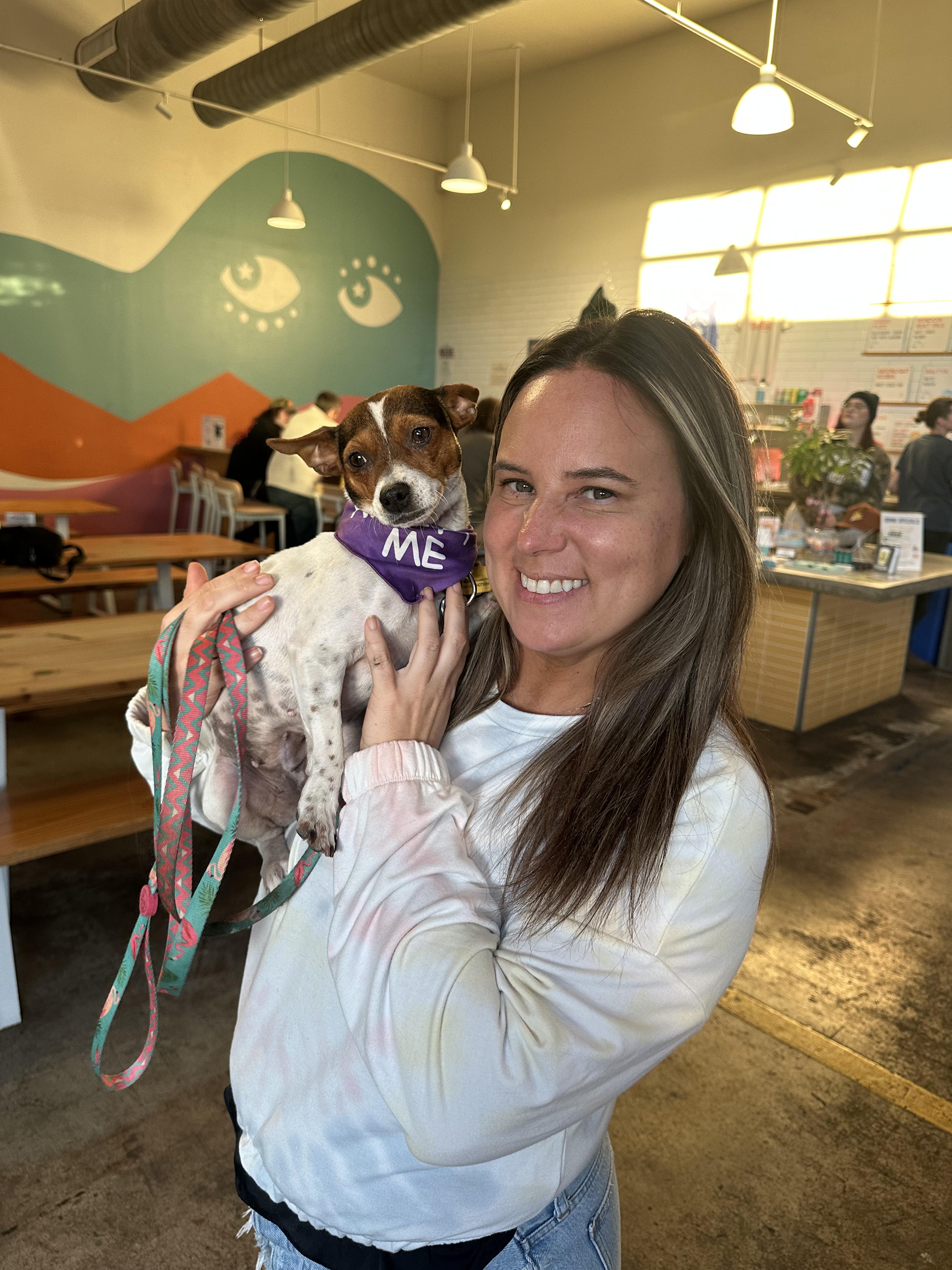 Enlarge Penny Lane, a Adoptable mixed breed in Austin, TX image 3/5