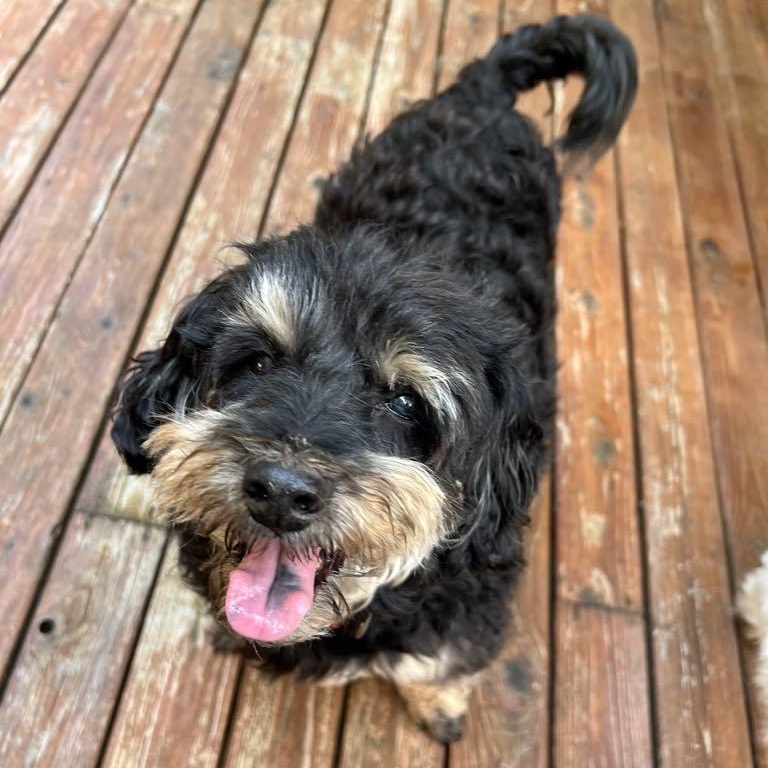Bruce