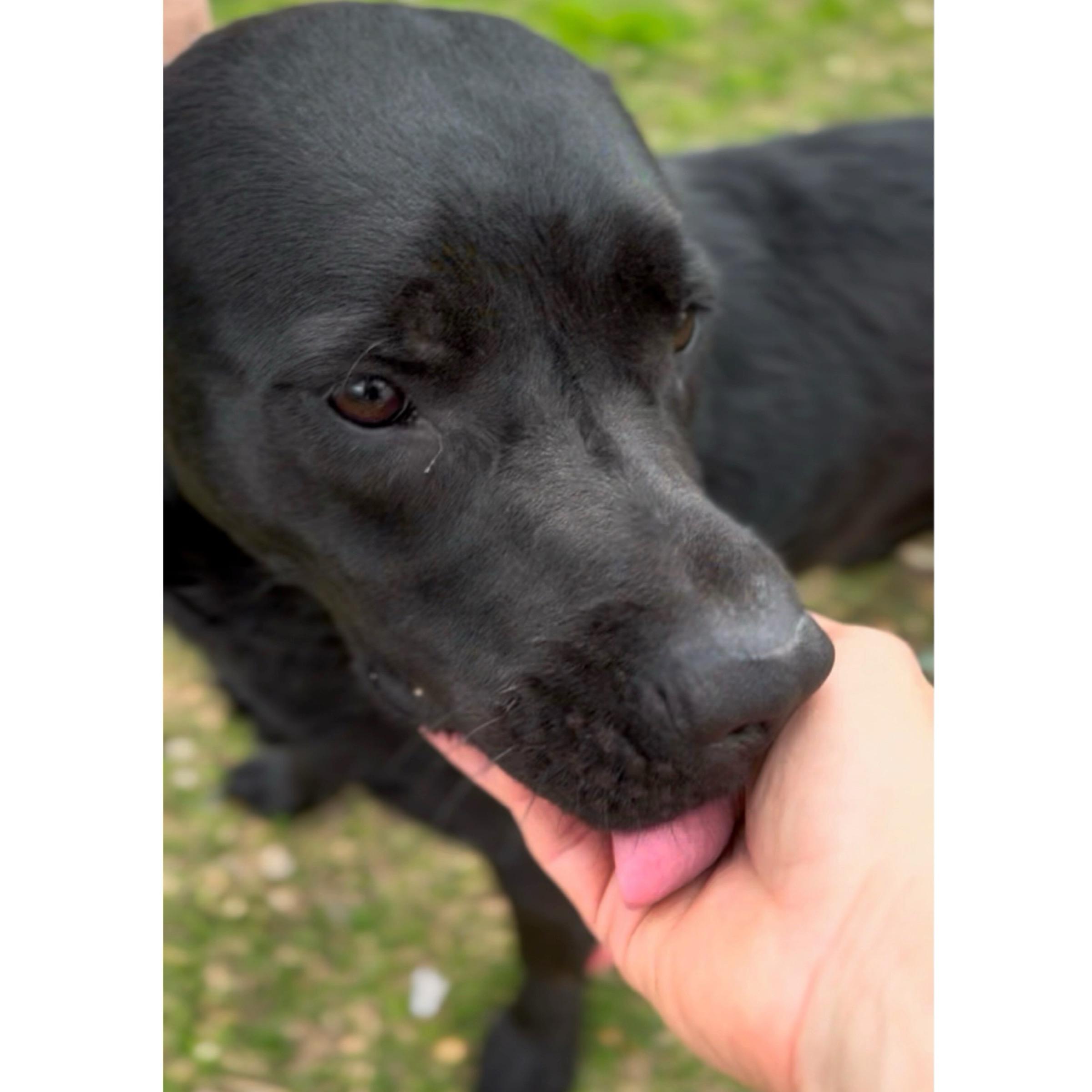 Coda — thumbnail 2