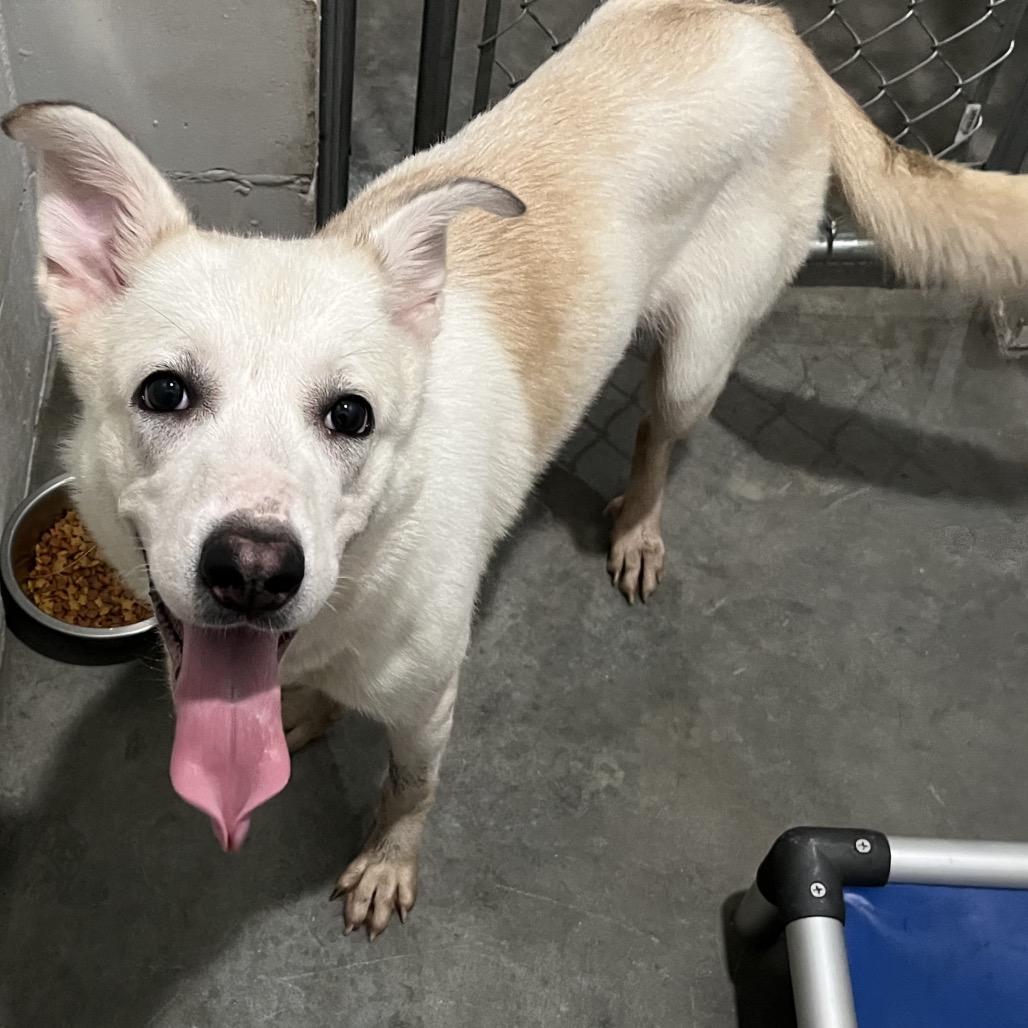 Bethlehem thumbnail 2