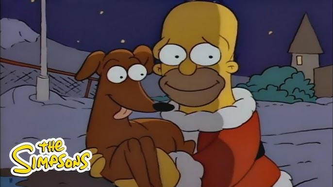 Jaz, a ADOPTABLE mixed breed in Cumming, GA image 5/5