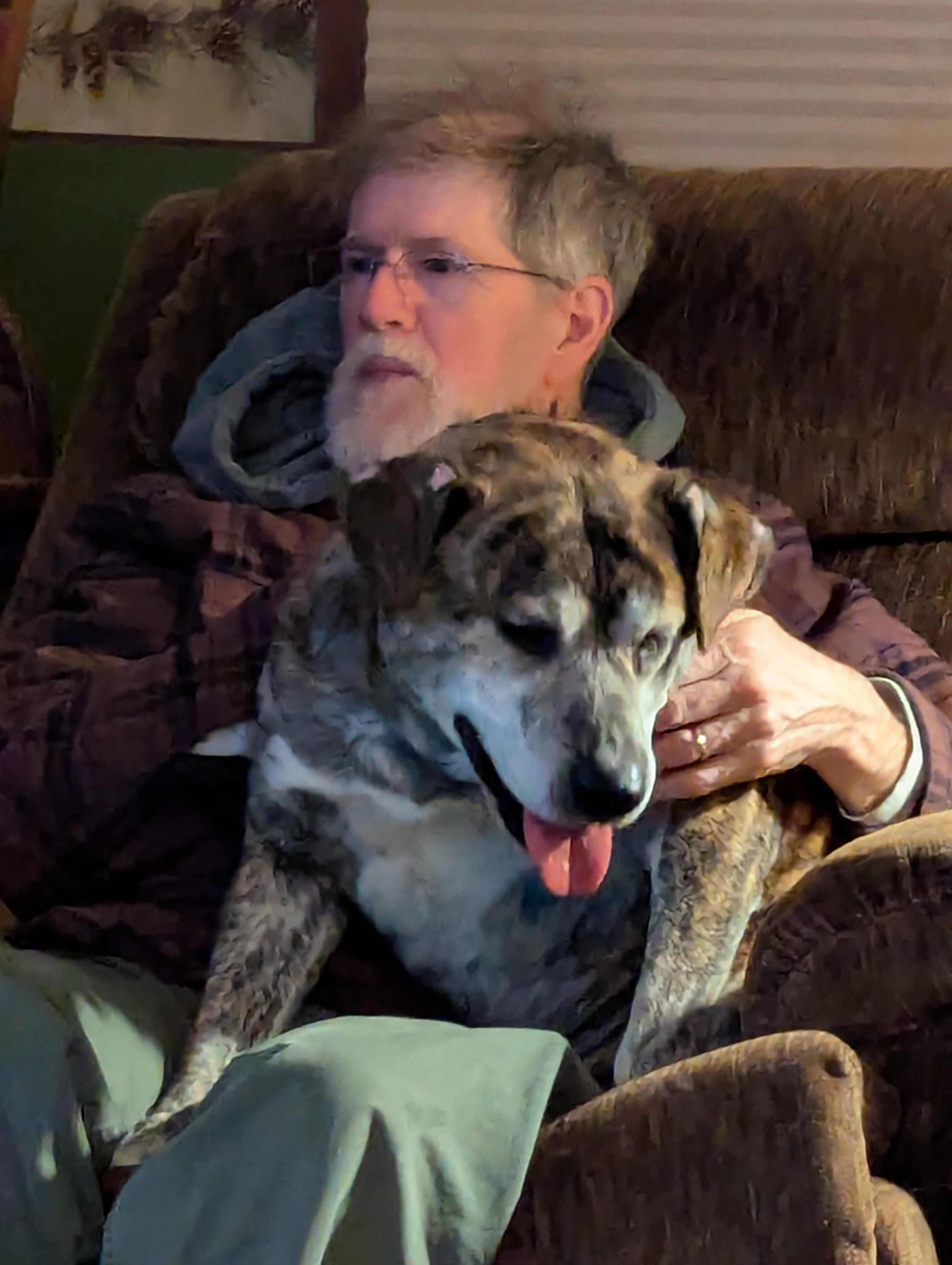 Enlarge Smokey, a ADOPTABLE mixed breed in Plainfield, IL image 3/6