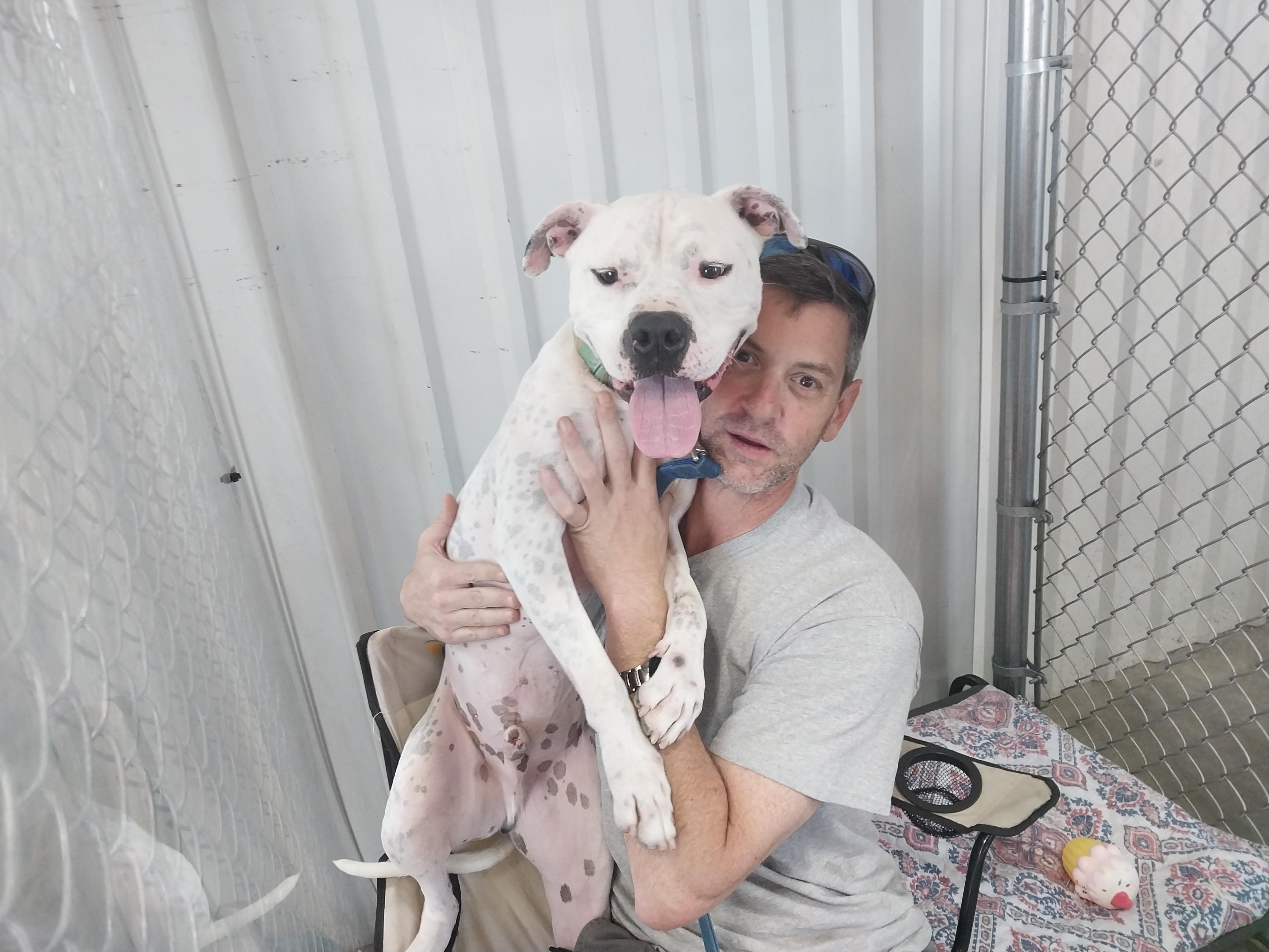 Spot, a Adopted mixed breed in Evansville, IN image 2/5