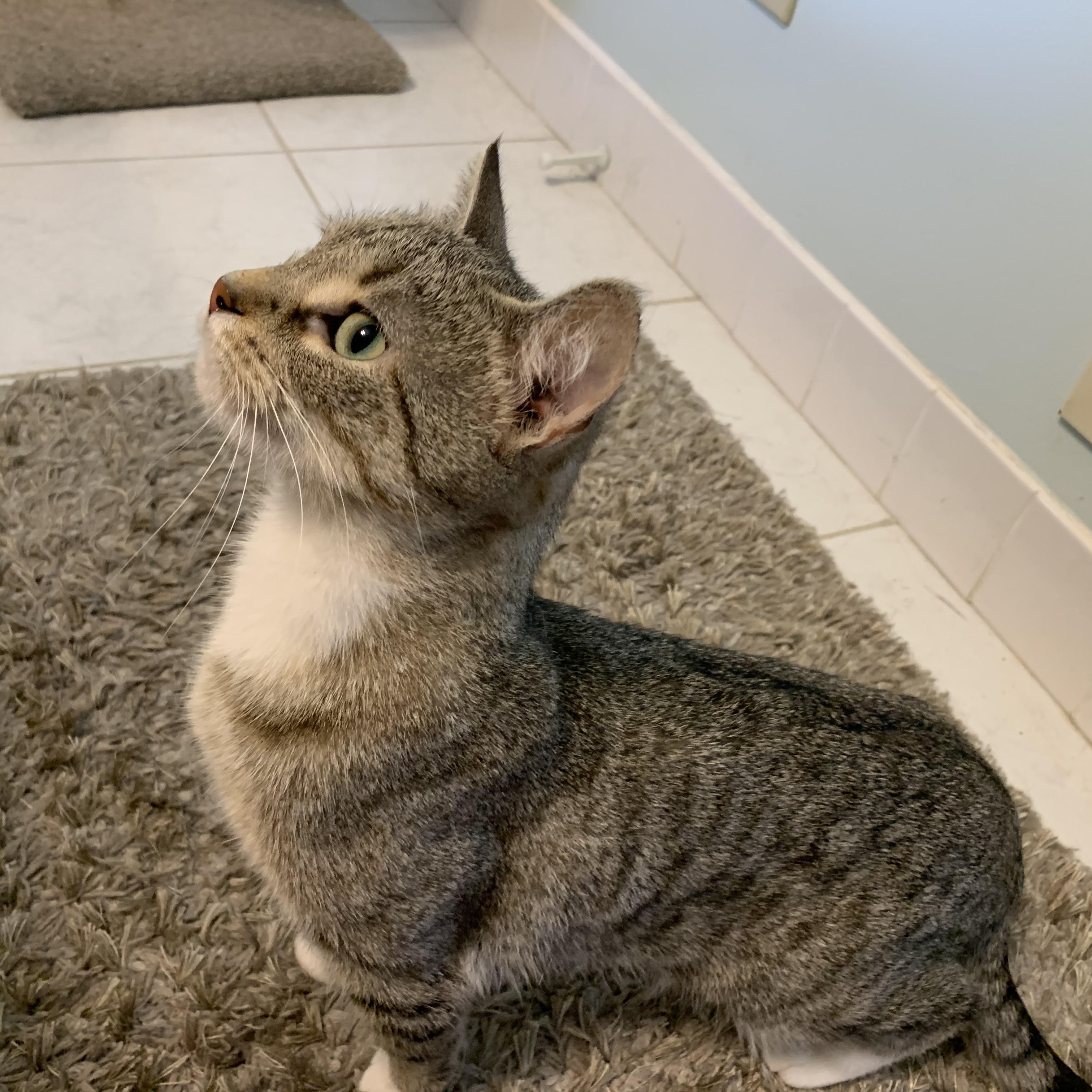 Makenna (bonded with Sammy)