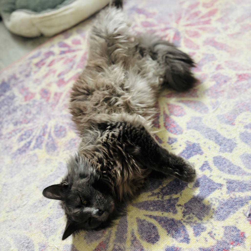 Nimbus — thumbnail 2