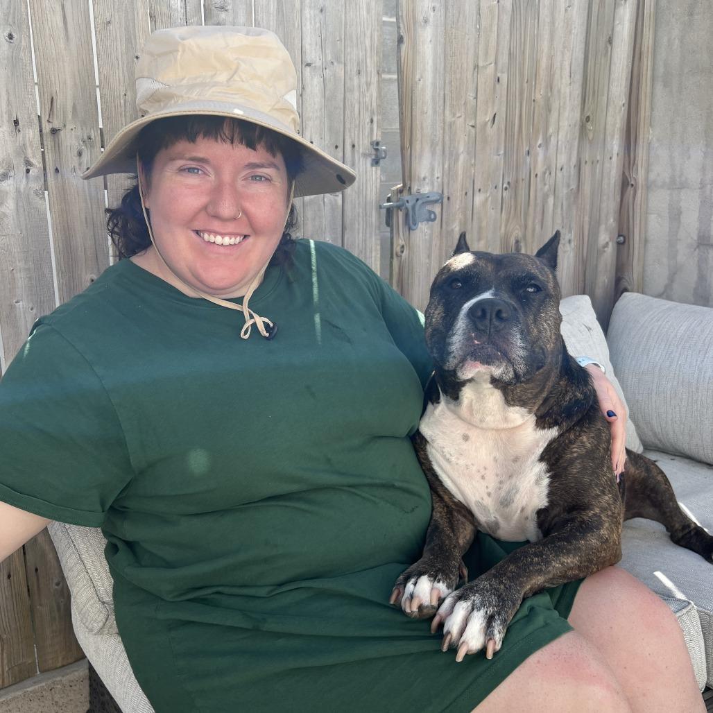 Enlarge Barbie Dreamhouse, a Adoptable Mixed Breed in Philadelphia, PA image 5/6