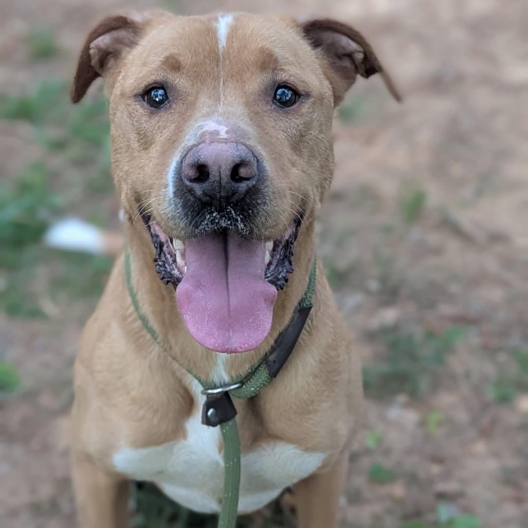 Maryjane thumbnail 2