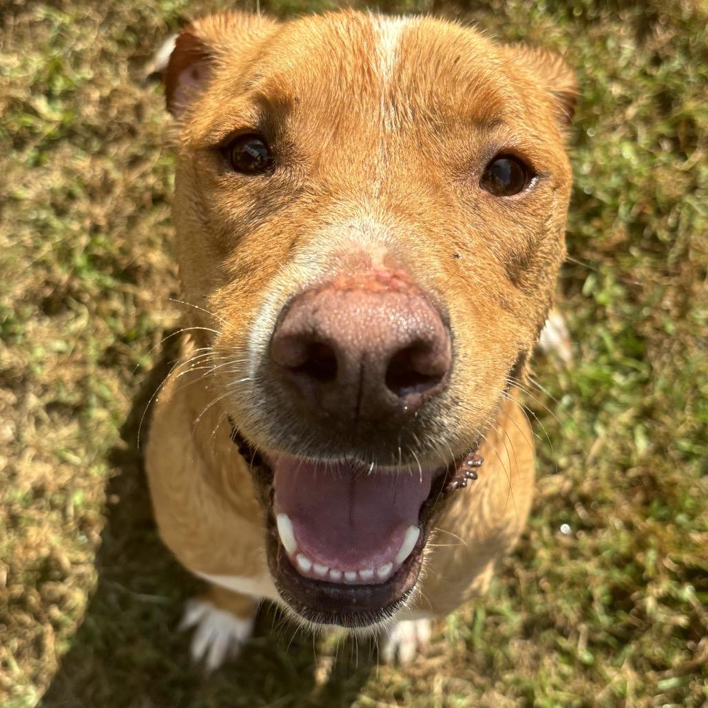 Maryjane thumbnail 4