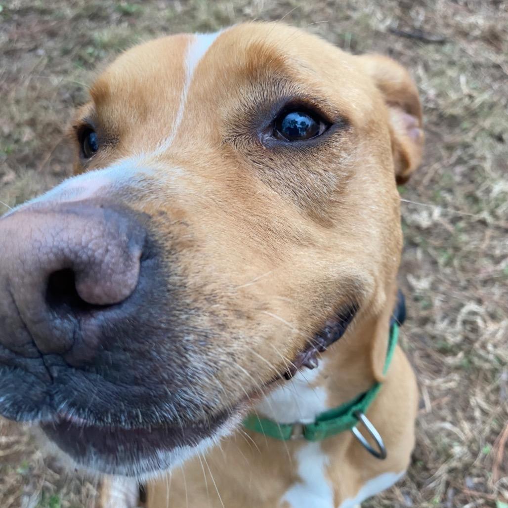 Maryjane thumbnail 5