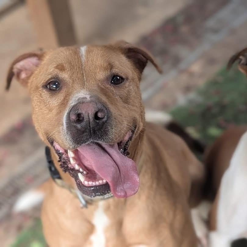 Maryjane thumbnail 6