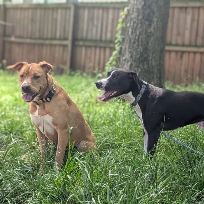 Maryjane thumbnail 7