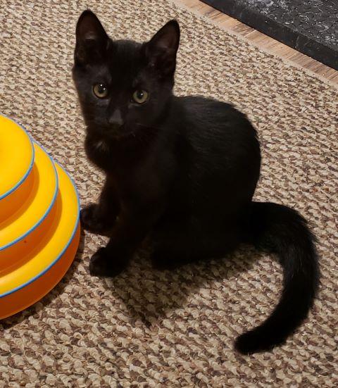Perry