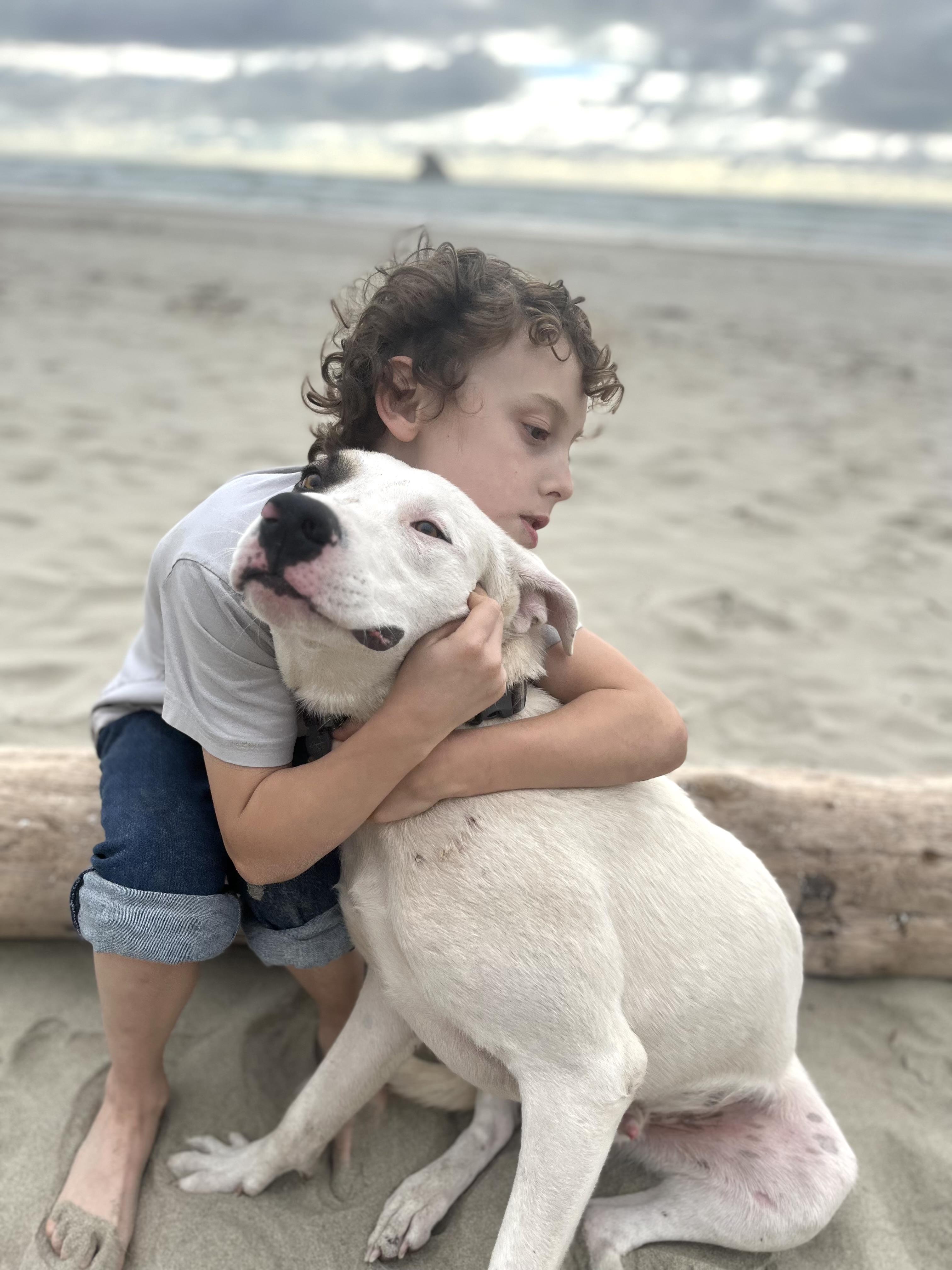 LUKE, a Adoptable mixed breed in Portland , OR image 6/6