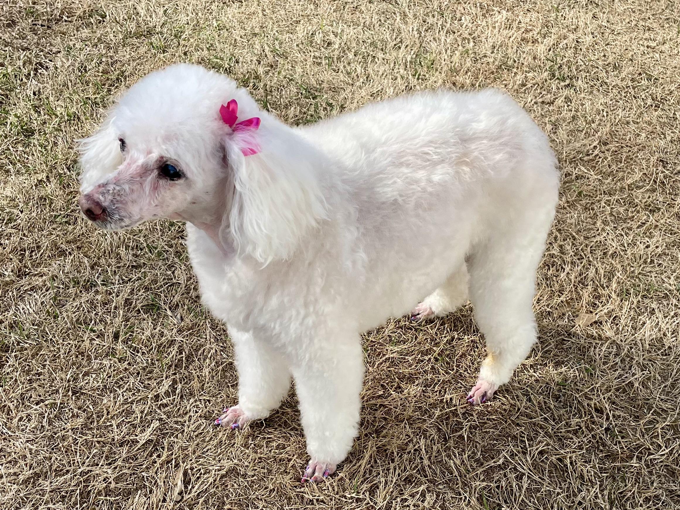 Valley Girl in Texarkana TX
