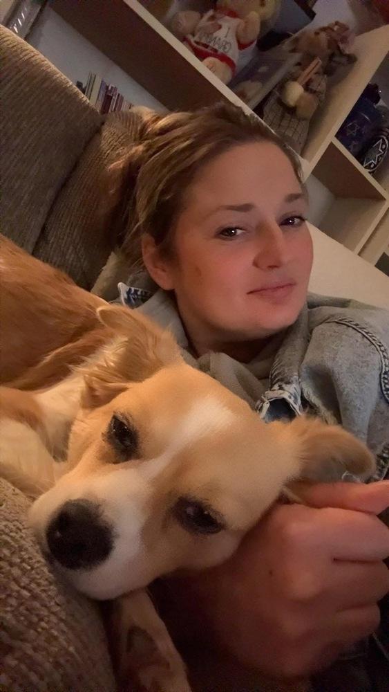 Linden, Adoptable, Young Male Chihuahua & Terrier.