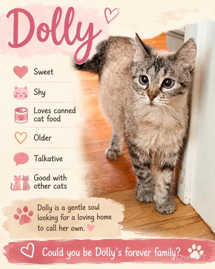 Dolly Parton, a Adoptable Siamese in Miami, OK image 3/3