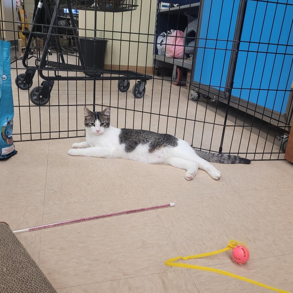 Otis — thumbnail 3