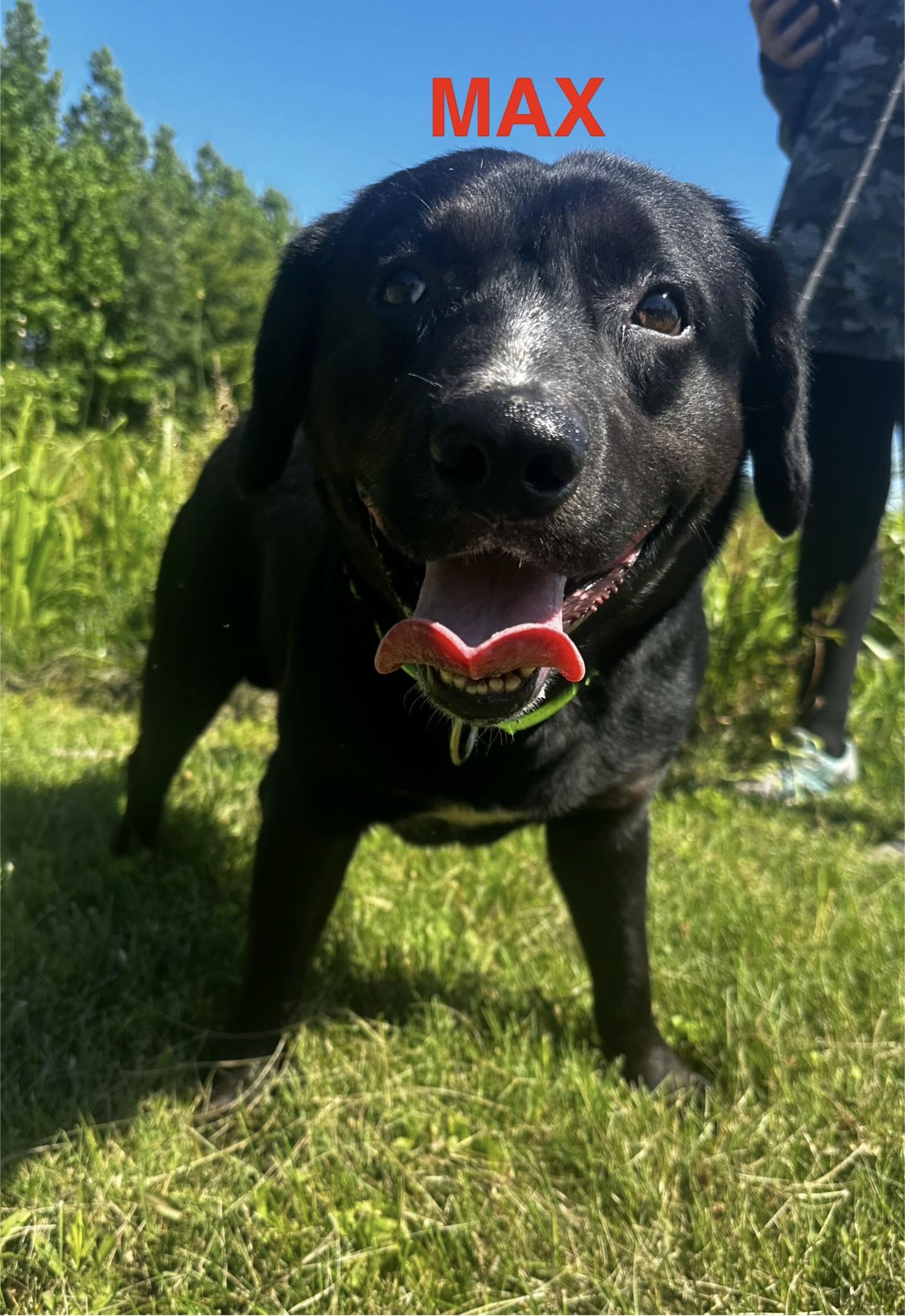 Max