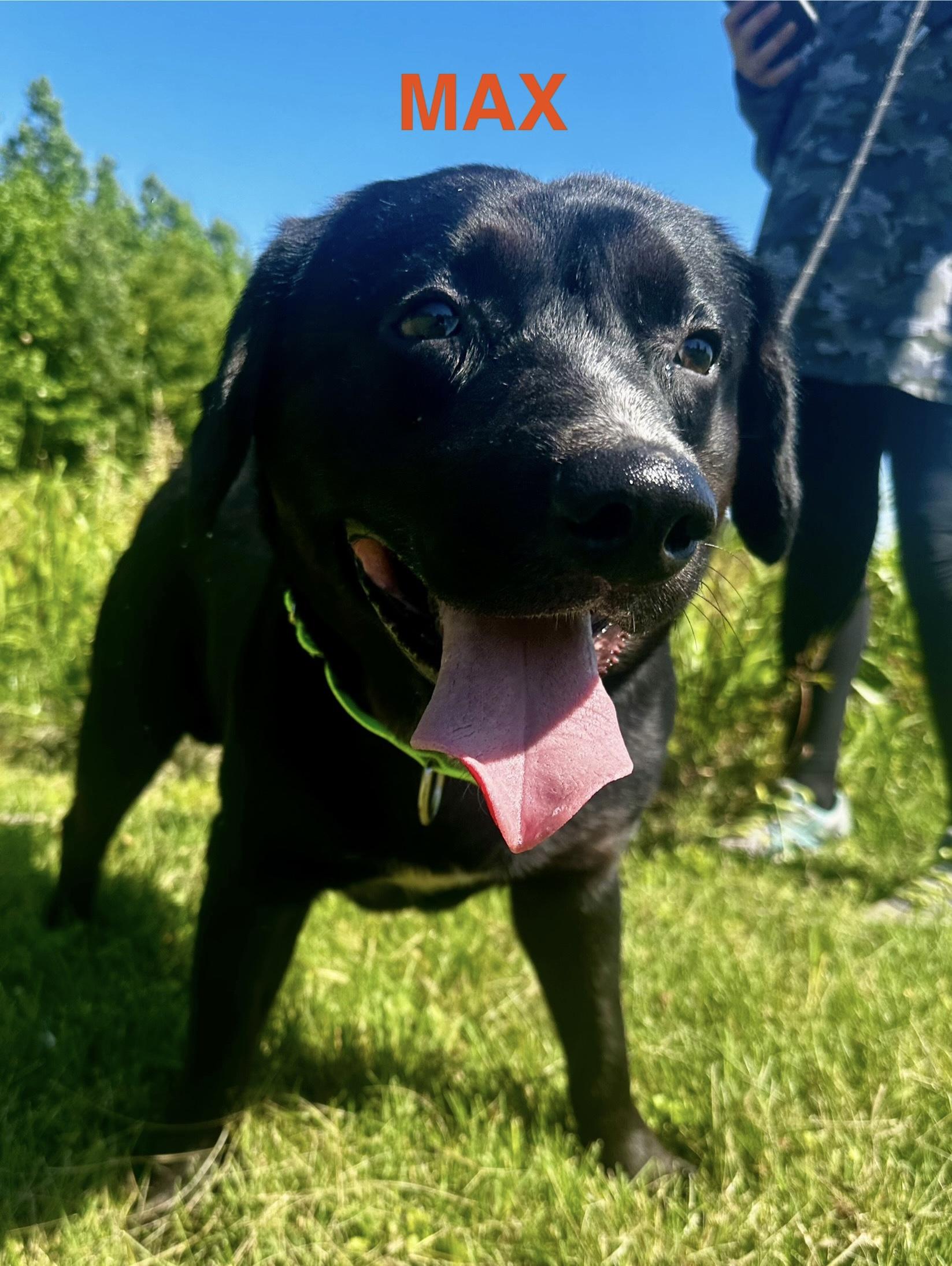 Max
