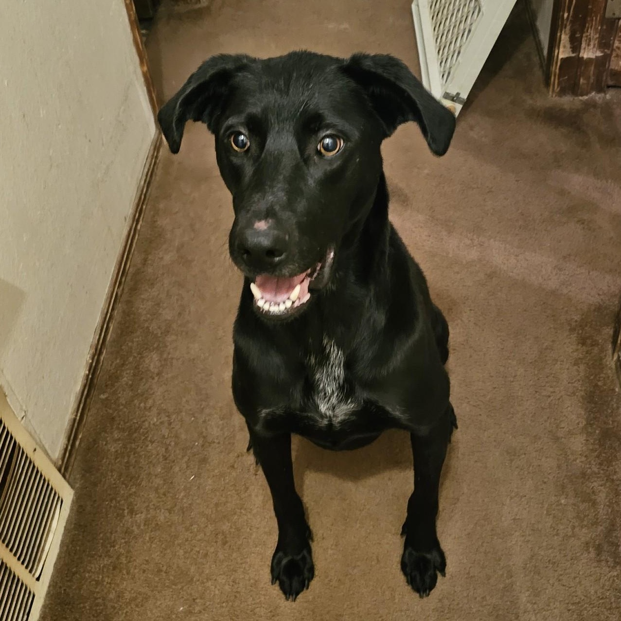 Tucker 2