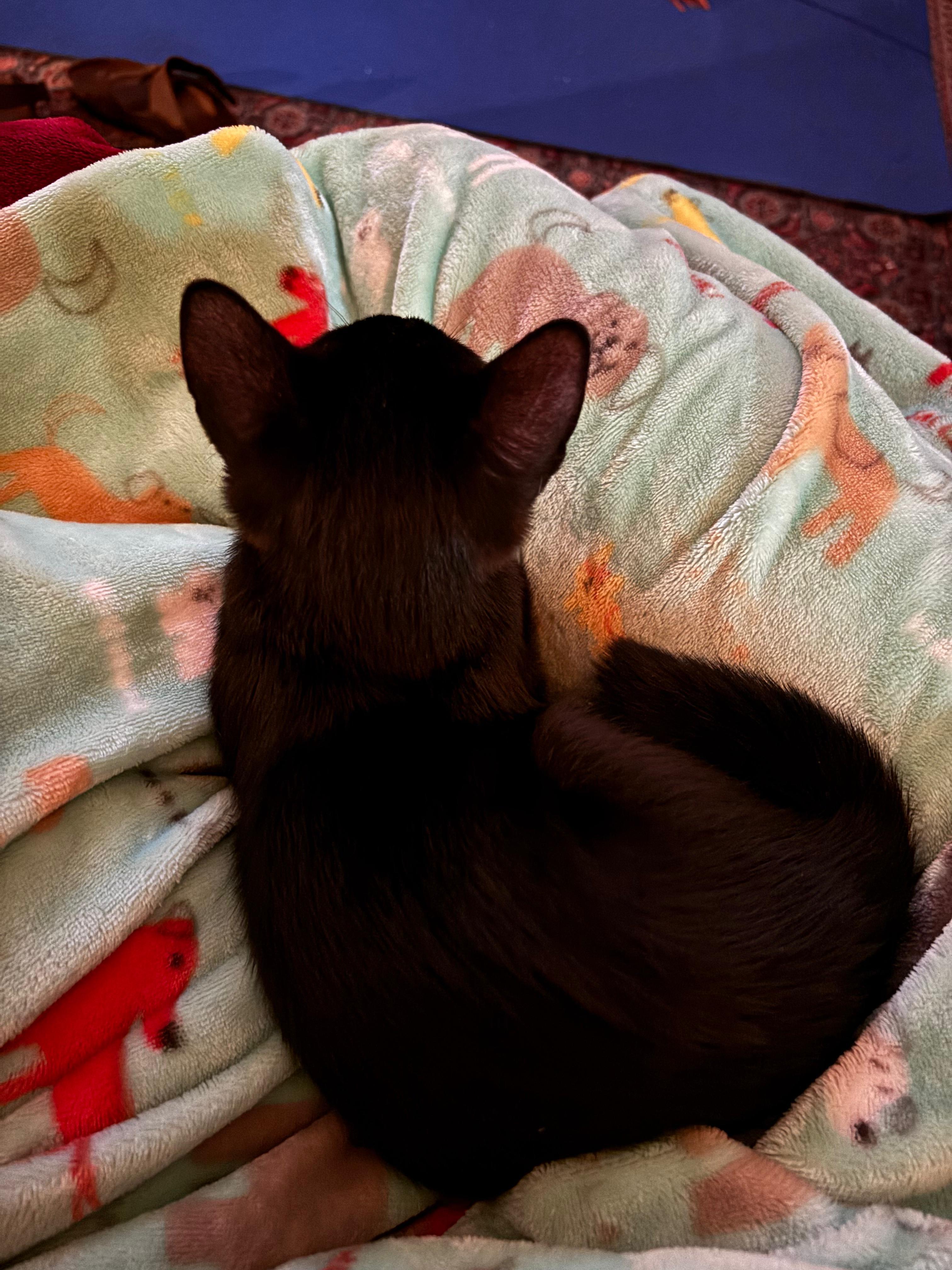 Molly Jones thumbnail 3