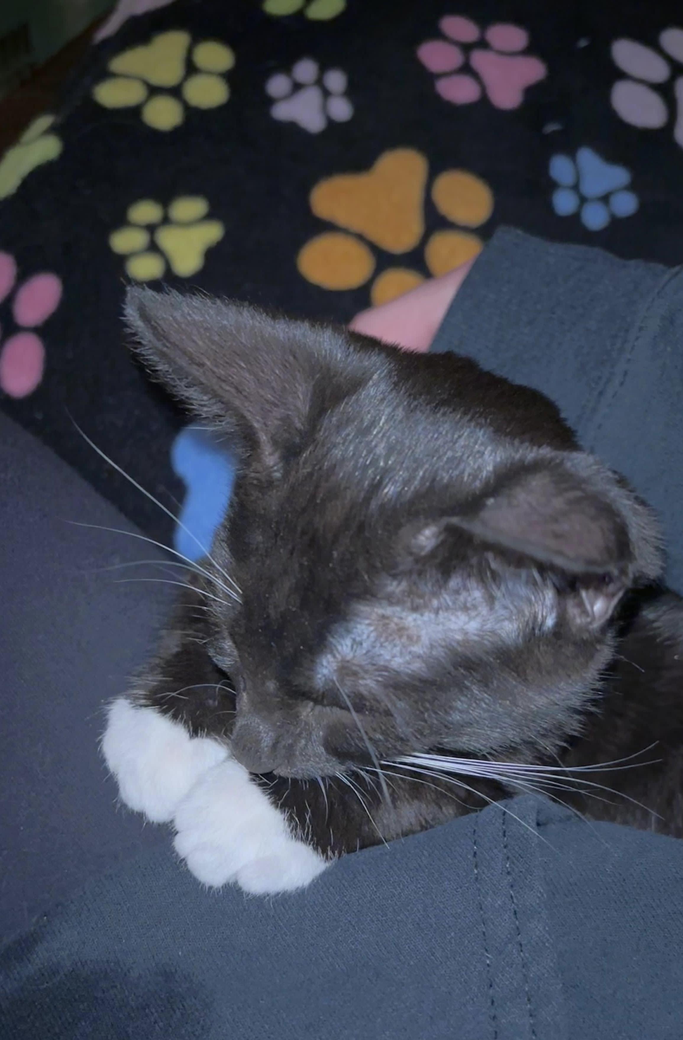 Molly Jones thumbnail 4