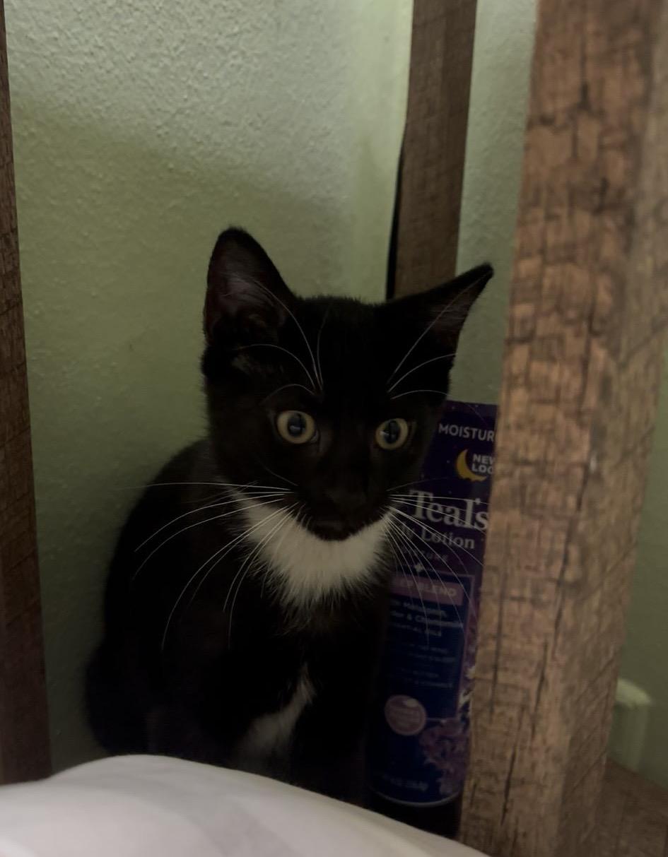 Molly Jones thumbnail 5