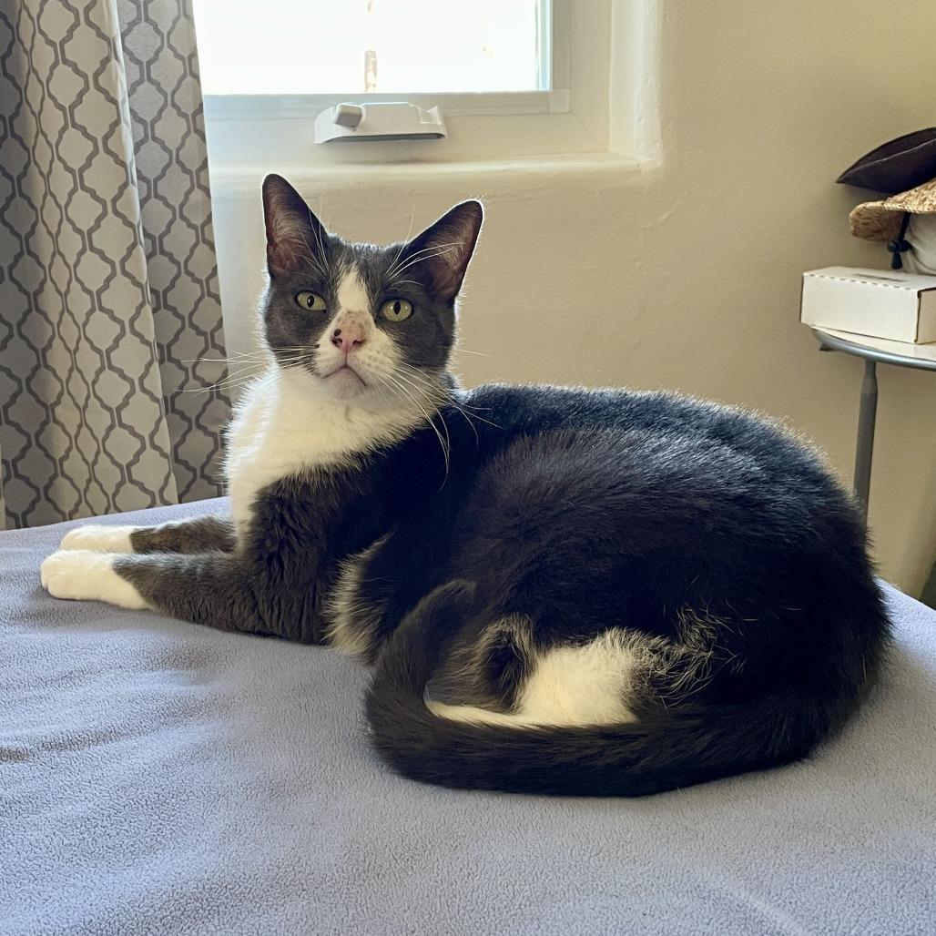 Coral — thumbnail 2