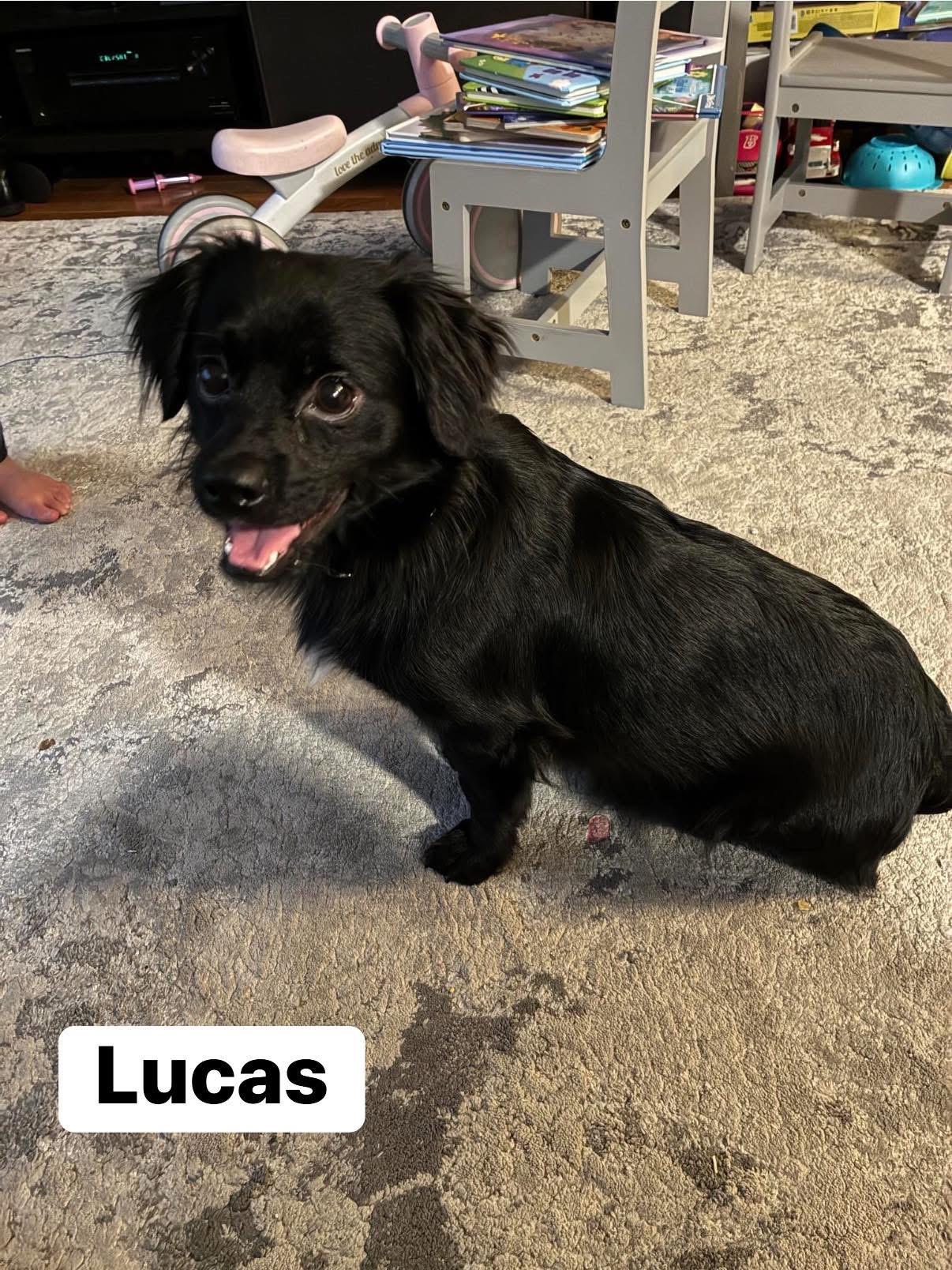 Lucas