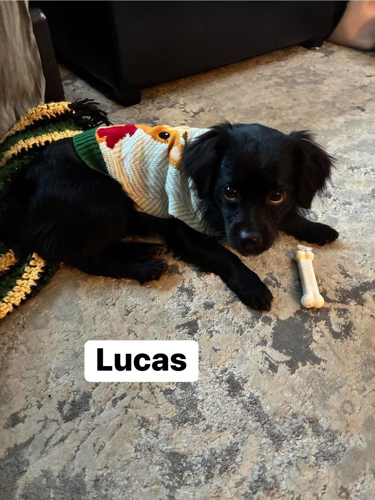 Lucas