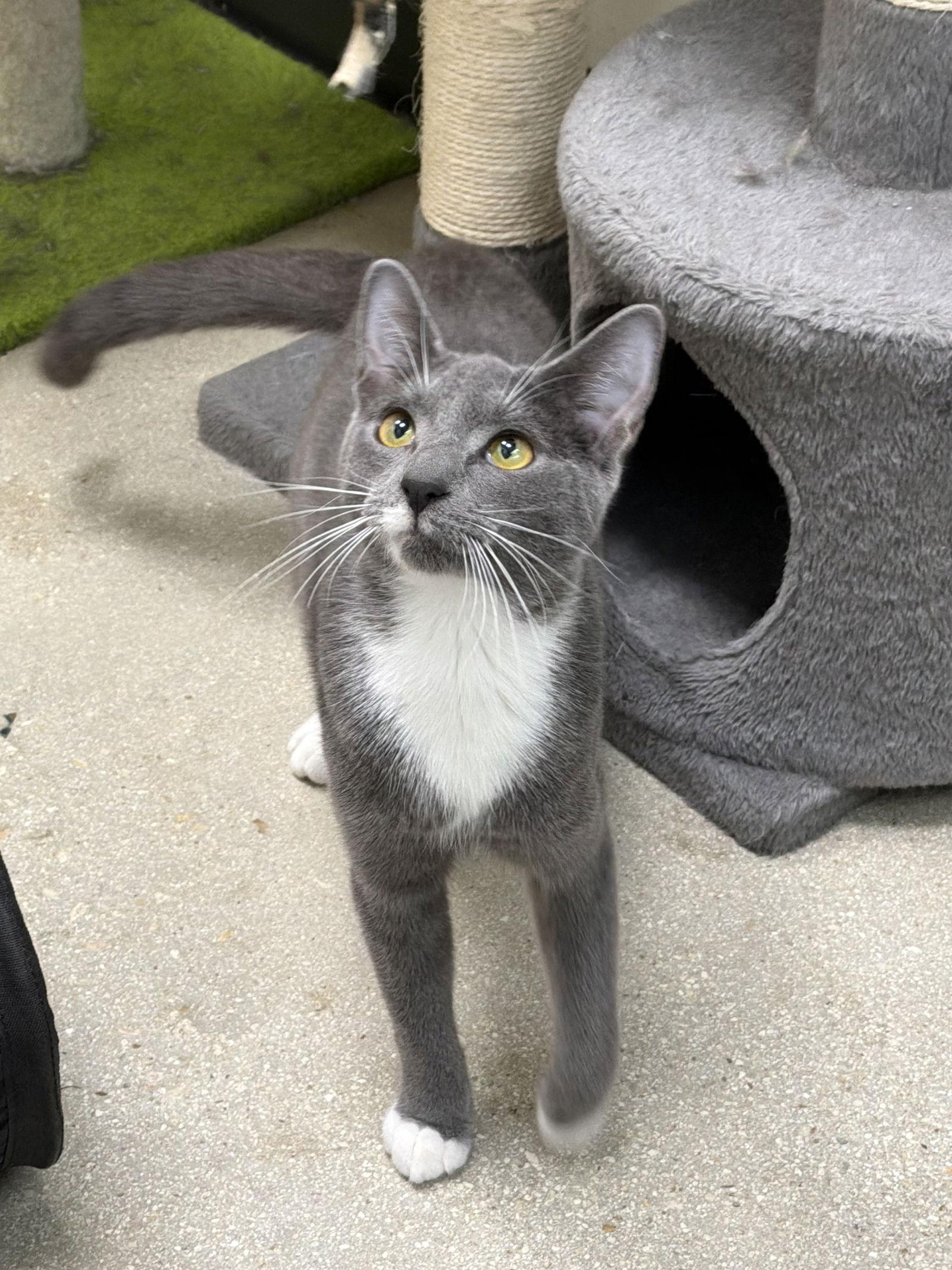 Misu * — thumbnail 2