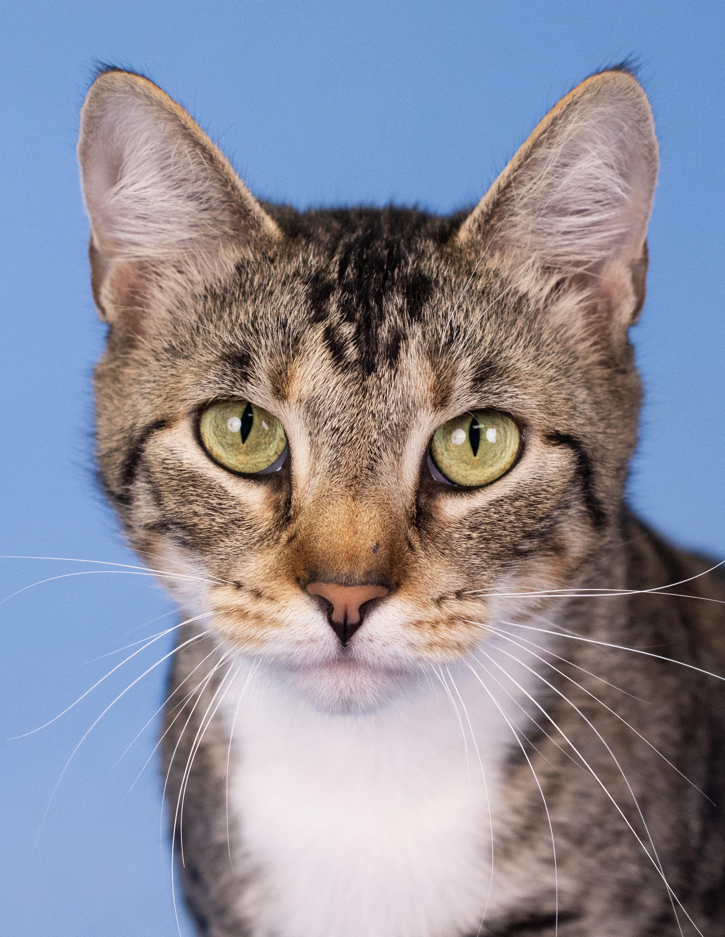 Mimi (ID 47924/3907)