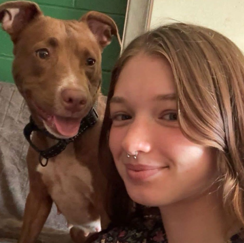 Enlarge Louise, a Adoptable mixed breed in Saluda, VA image 2/6