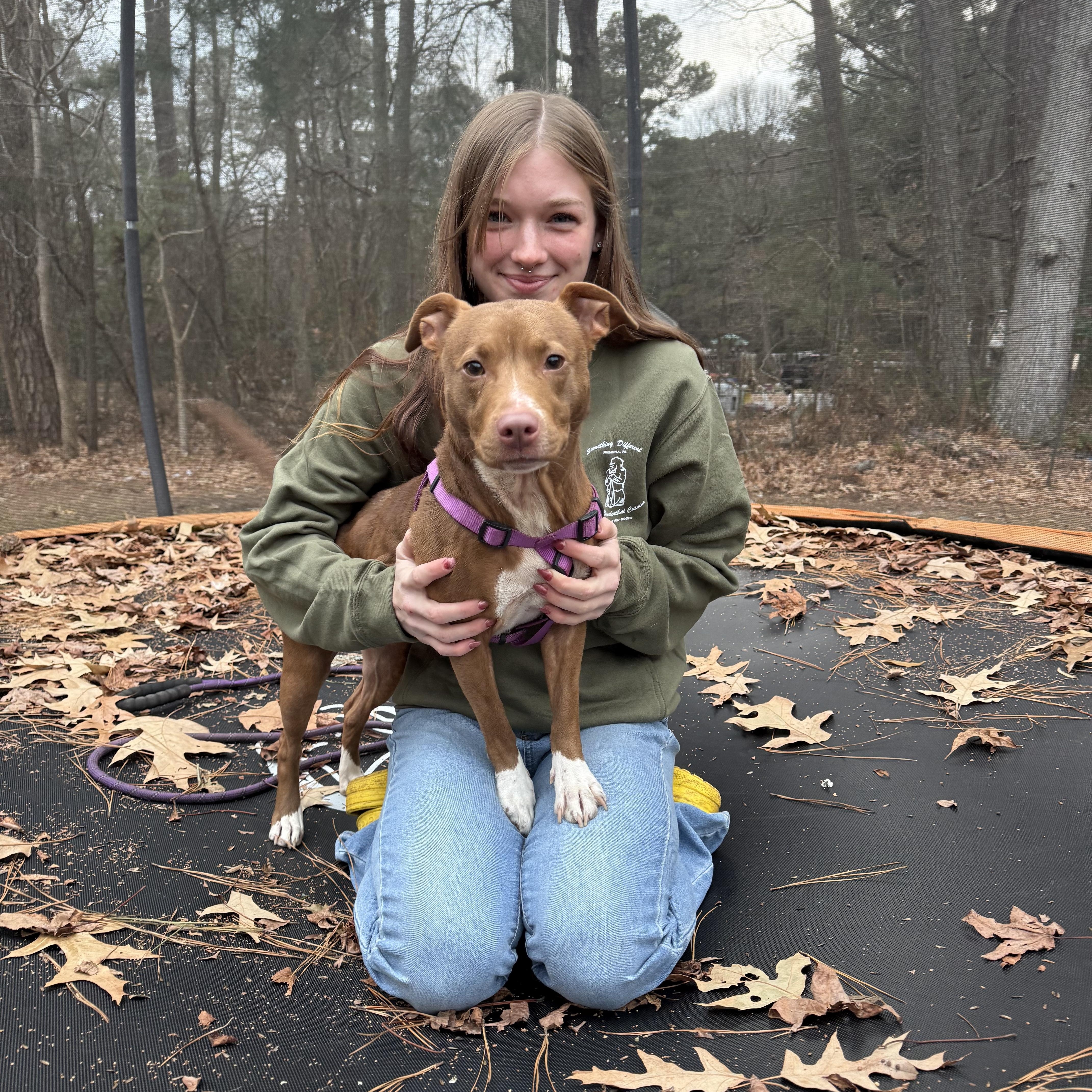 Enlarge Louise, a Adoptable mixed breed in Saluda, VA image 5/6