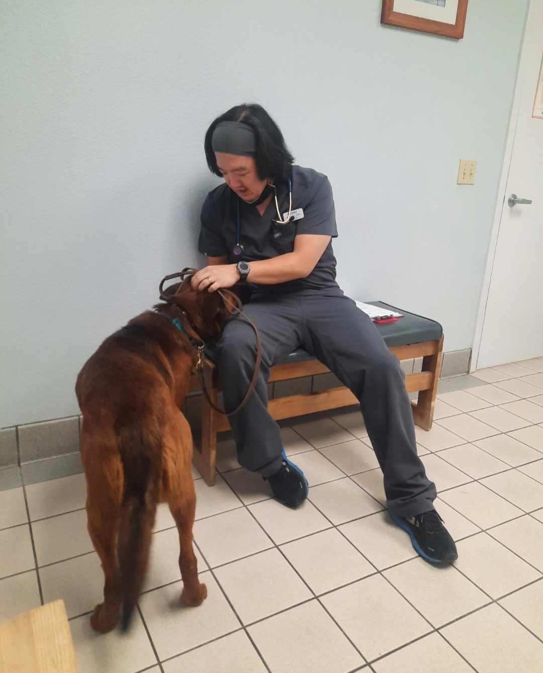 Enlarge Rudy, a Adoptable mixed breed in Wilton, CA image 5/5