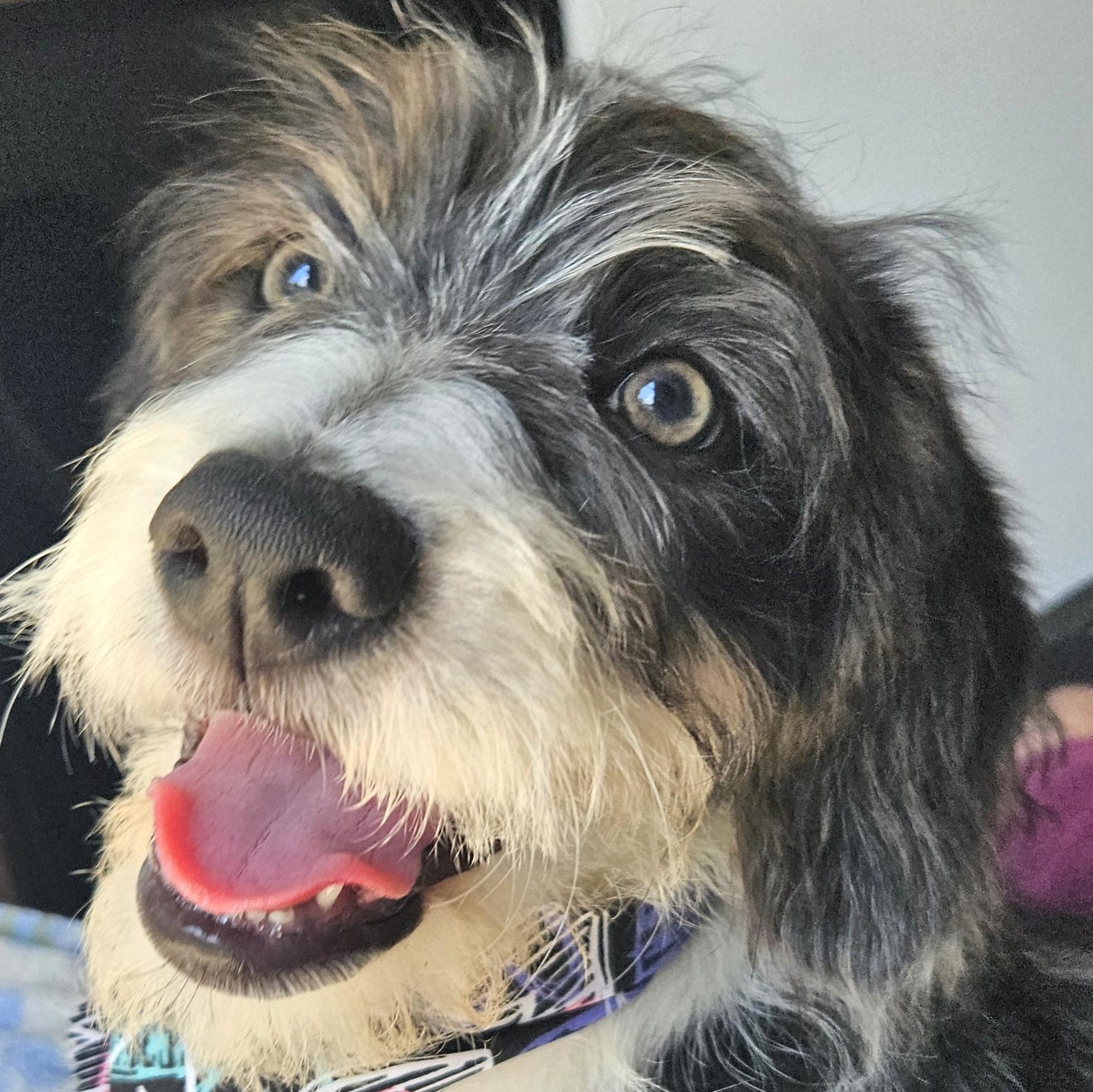 Walden UPDATE!