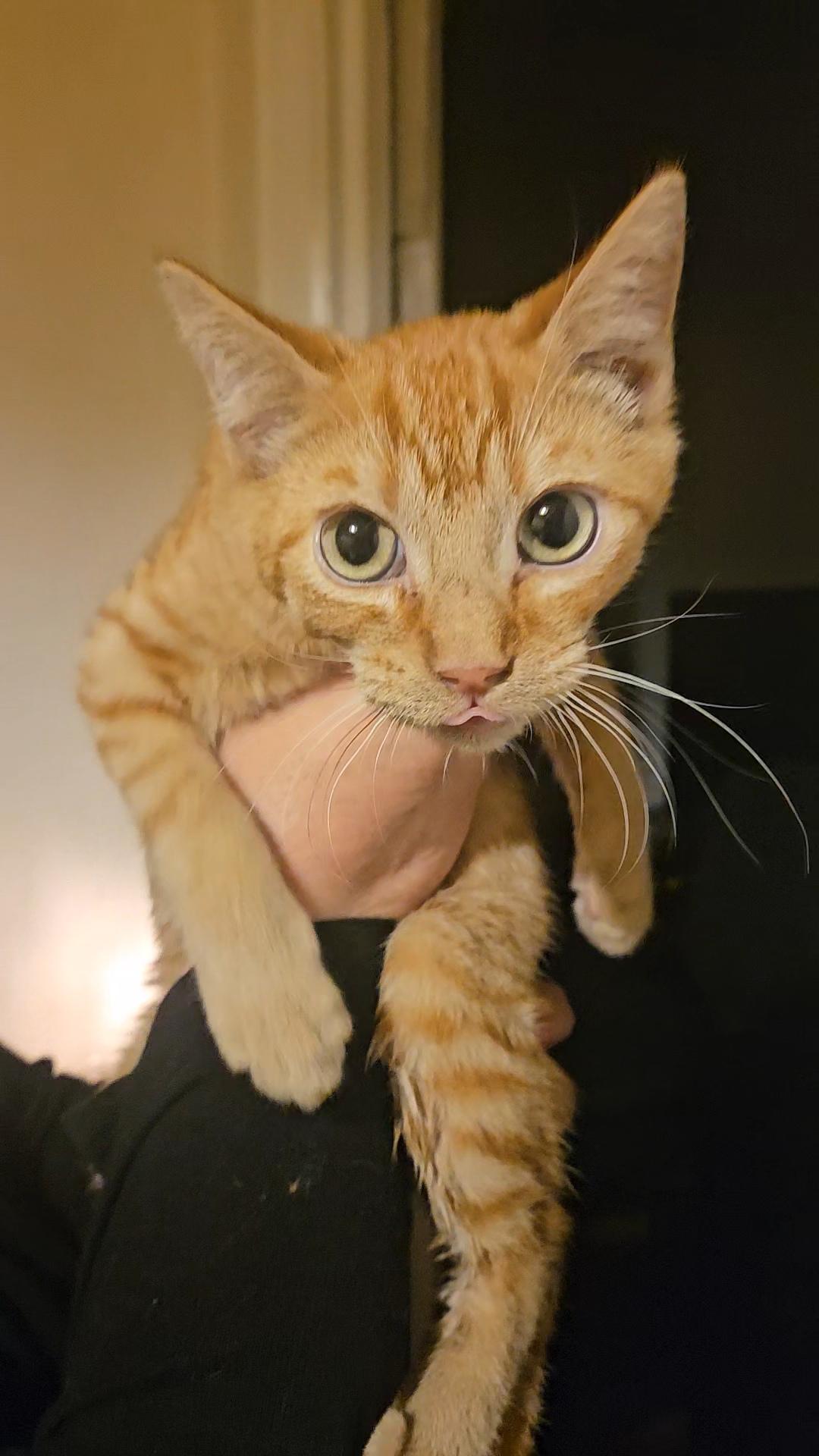 JEREMY & JOSHUA N. - loving brothers