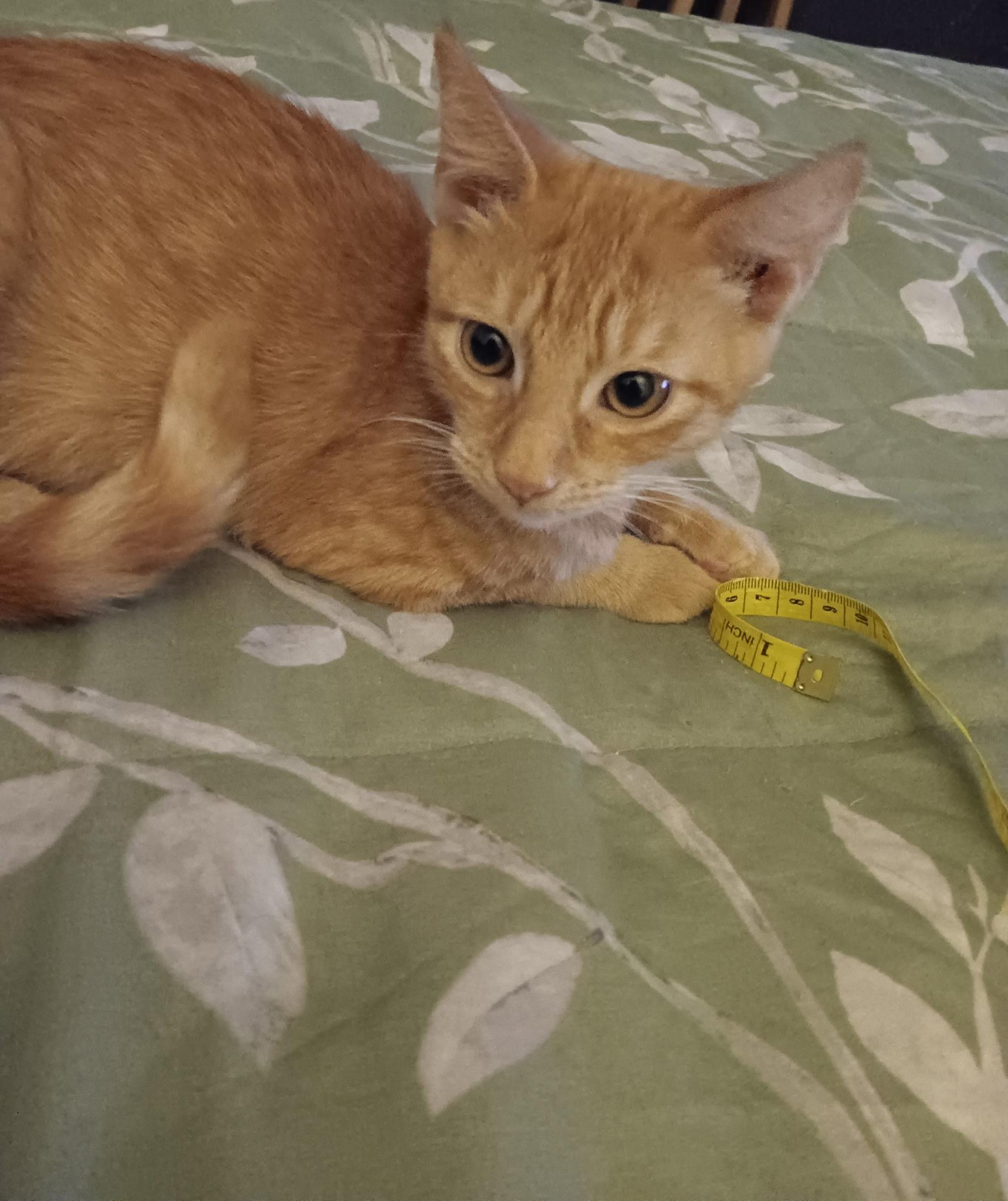 JEREMY & JOSHUA N. - loving brothers