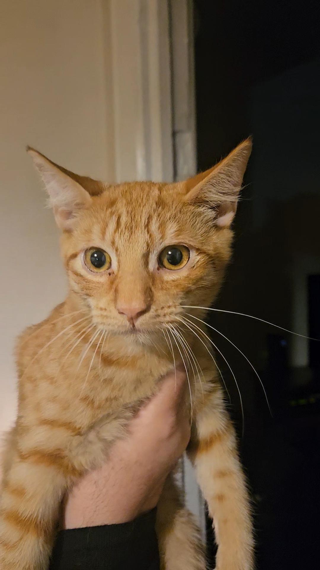 JEREMY & JOSHUA N. - loving brothers