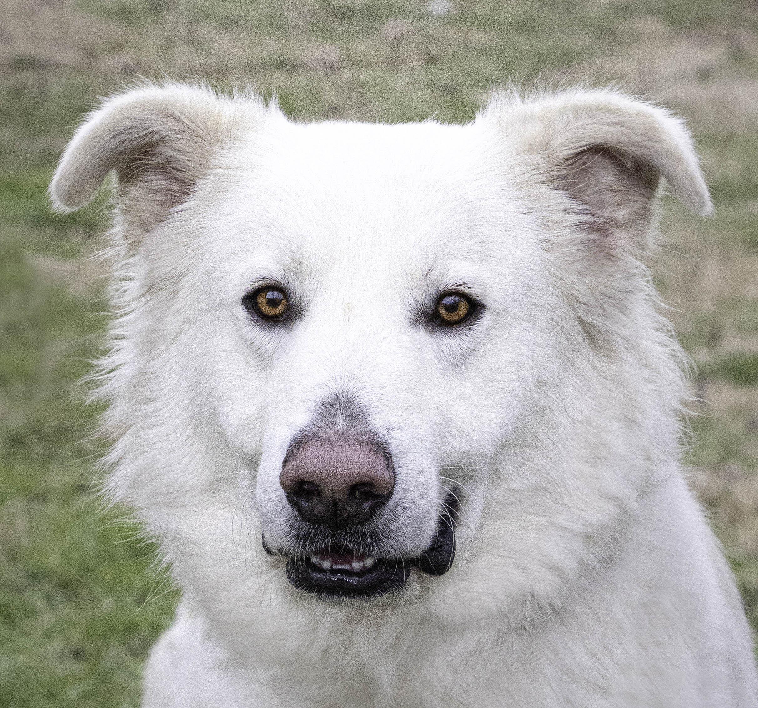 Brodie photo 2