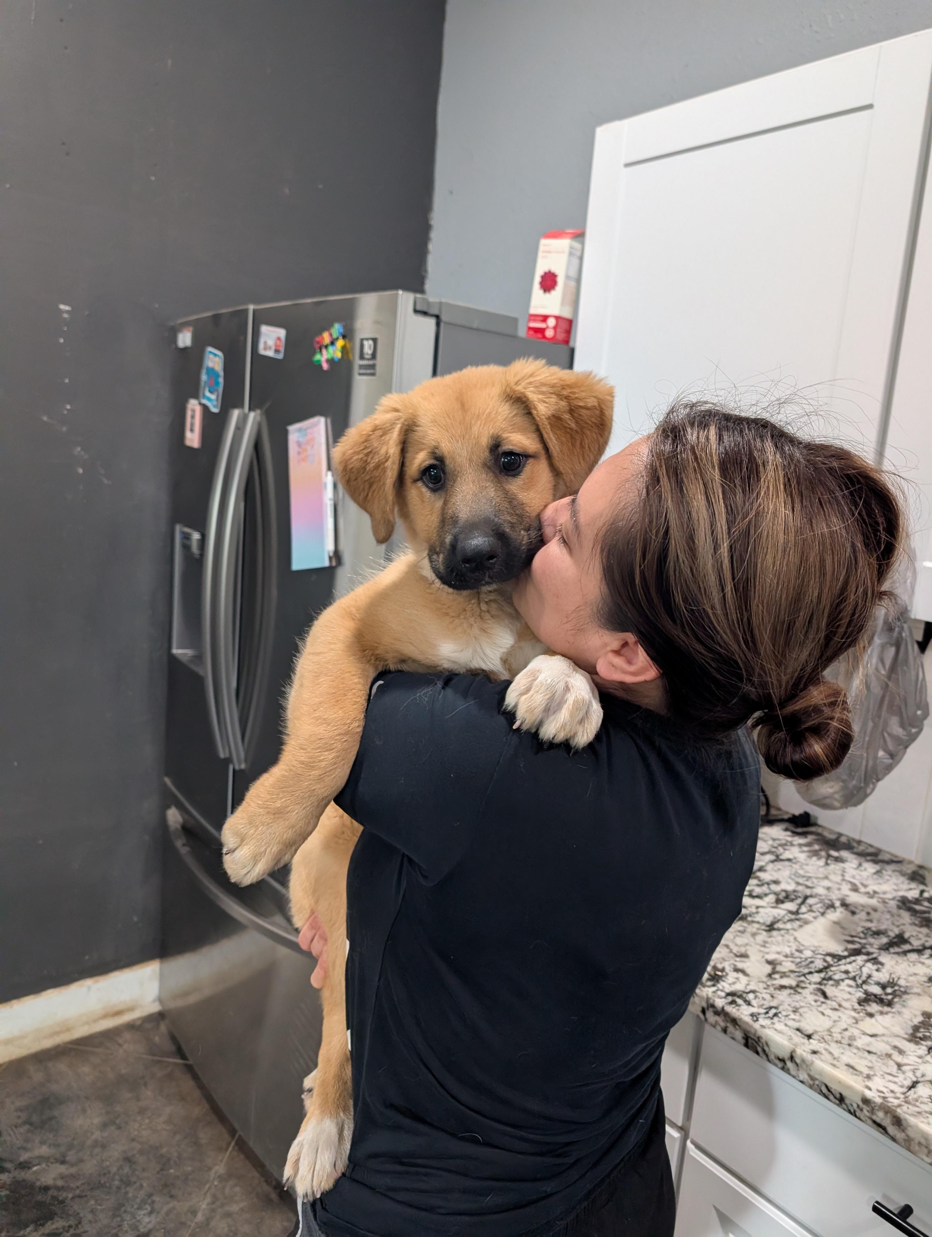 Bombon, an adopted mixed breed in Columbus, OH image 5/6